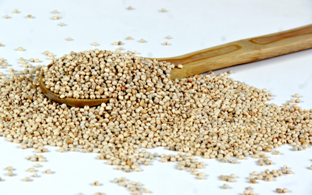 Superfoods Can’t Save Our Broken System – But Smart Food Can