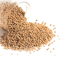 Botswana’s cereal production to shrink by 82 percent