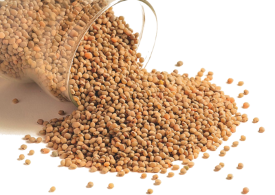 OPINION: As drought hits, Zimbabweans are going hungry