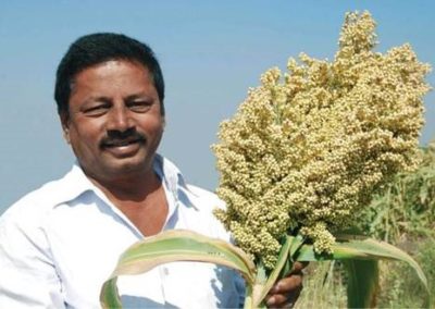 Ancient grains make a comeback in Indian kitchens