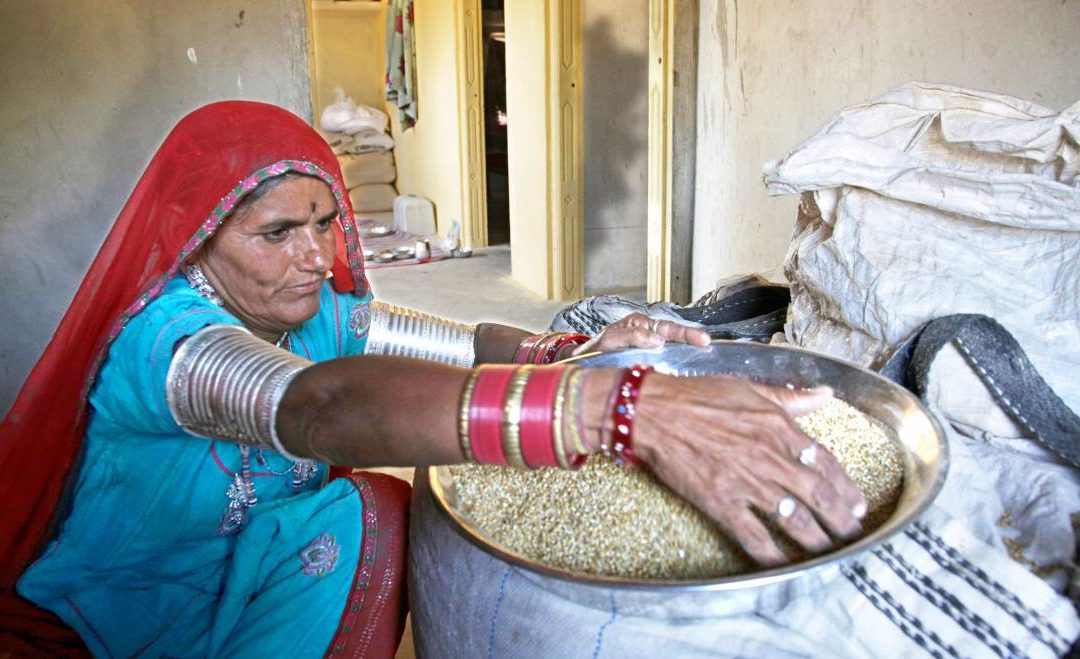 Pearl millet helps fight iron deficiency evidence from three bioavailability studies