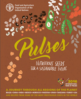 Power of the pulse: Top chefs share secrets of bean cuisine in colorful new book