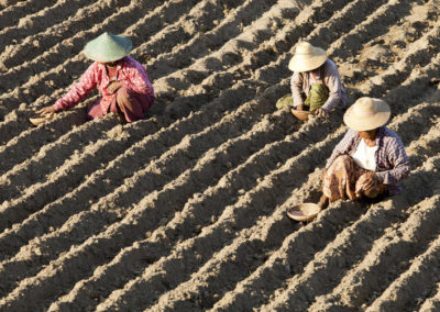 John Hoffmire: Climate change and sustainable farming – one way to address world hunger