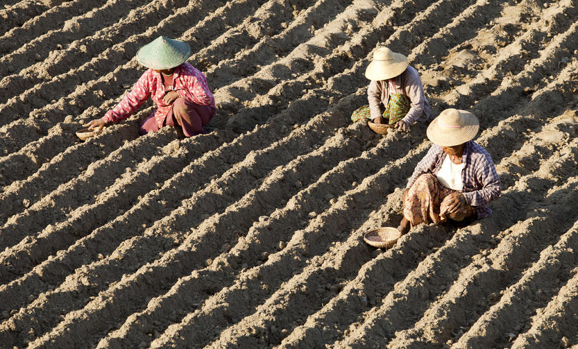 John Hoffmire: Climate change and sustainable farming – one way to address world hunger