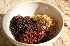 Sorghum-1