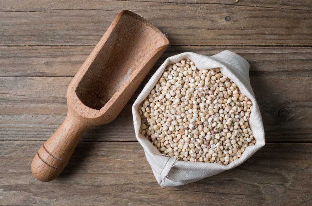 Is sorghum the new quinoa?