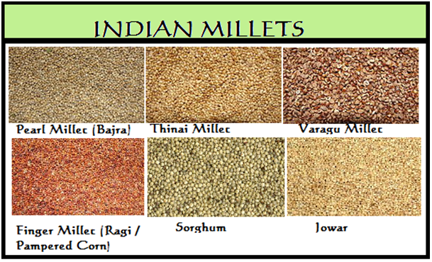 Bringing back millets- the super crop of our ancestors