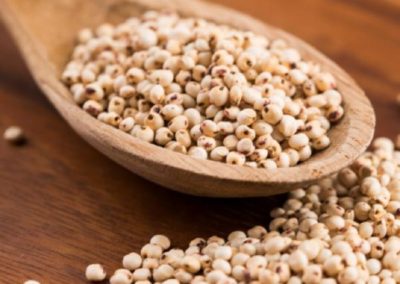 Health benefits of Jowar (Sorghum): 5 ways this gluten-free grain can help you lose weight, reduce belly fat