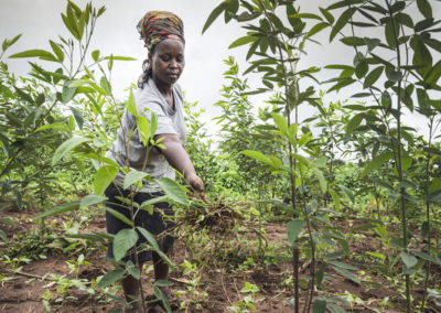 Integrating the efforts of Climate change adaptation with nutrition and food systems is the way forward to achieve food security and nutrition goals: UN Report