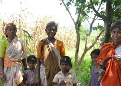 ‘Forgotten’ Kodo-Kutki millets on a comeback trail in this MP tribal belt