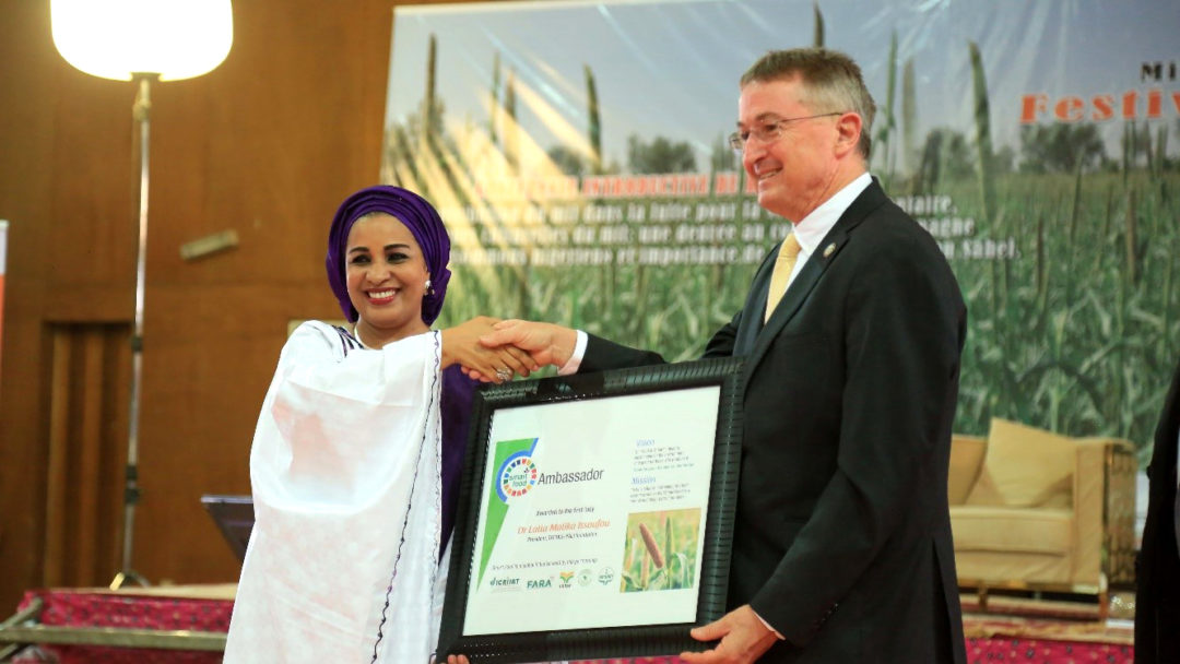 Niger government takes higher stand on pearl millet
