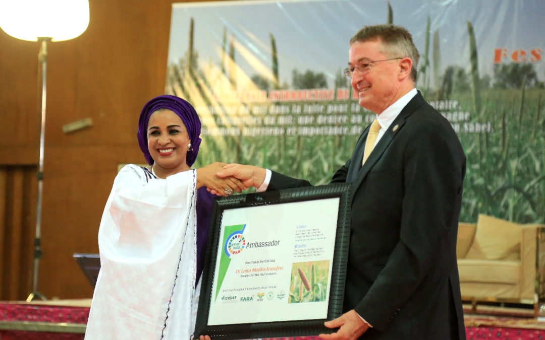 Niger government takes higher stand on pearl millet
