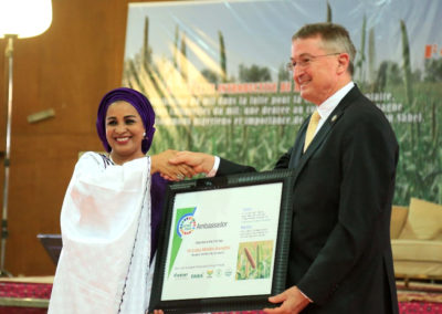 Niger government takes higher stand on pearl millet