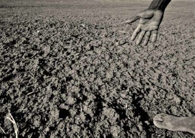 Bhungroo to Olla: 5 Simple Ideas That Can Help Farmers Save Water in Summer
