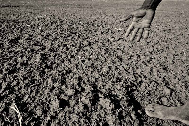 Bhungroo to Olla: 5 Simple Ideas That Can Help Farmers Save Water in Summer