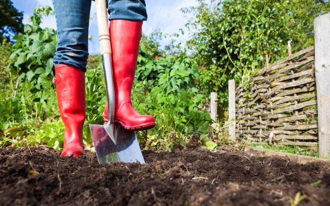 119 Organizations Shaking Up the Food System in 2019