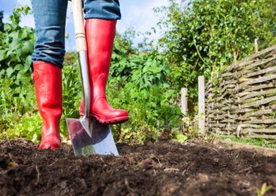 119 Organizations Shaking Up the Food System in 2019