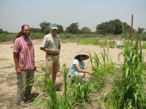 Nate Bogie, PhD student from UC Merced; Richard Dick of Ohio State and Matthew Bright, PhD student from Ohio State