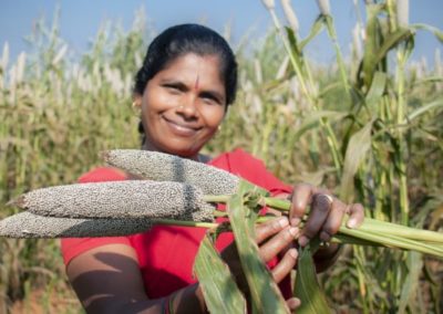 Chapatis of Pearl Millet For A Changing Climate