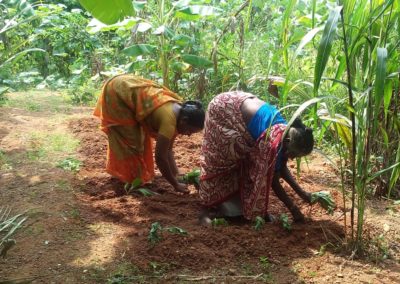 52-YO TN Woman’s Revolution Gives Women Farmers Millets to Battle Climate Change!