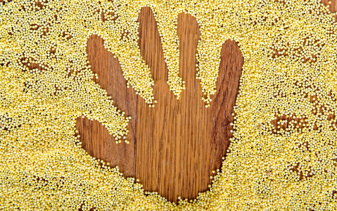 2023 Will be the International Year of Millets