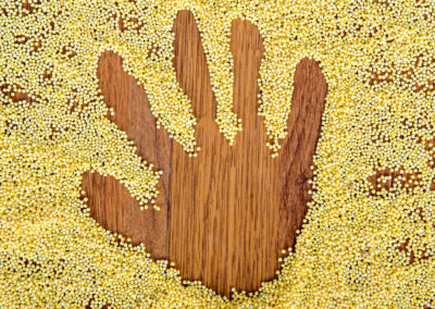 2023 Will be the International Year of Millets