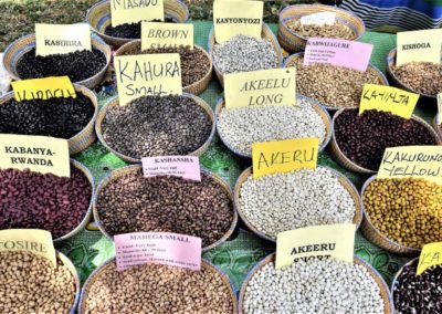 Building resilience across East Africa one seed at a time