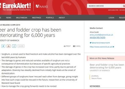 Beer and fodder crop has been deteriorating for 6,000 years