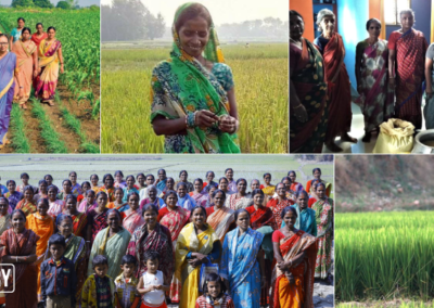 These women are championing the fight against climate change in India with timely innovations