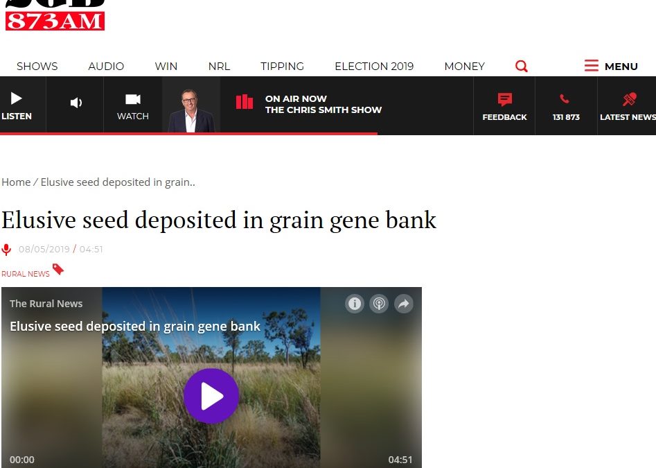 Elusive seed deposited in grain gene bank
