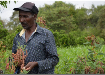 TO FIGHT DESERTIFICATION WE NEED TO DRIVE DIVERSITY ON FARMS AND PLATES
