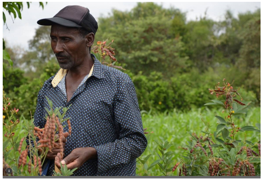 TO FIGHT DESERTIFICATION WE NEED TO DRIVE DIVERSITY ON FARMS AND PLATES