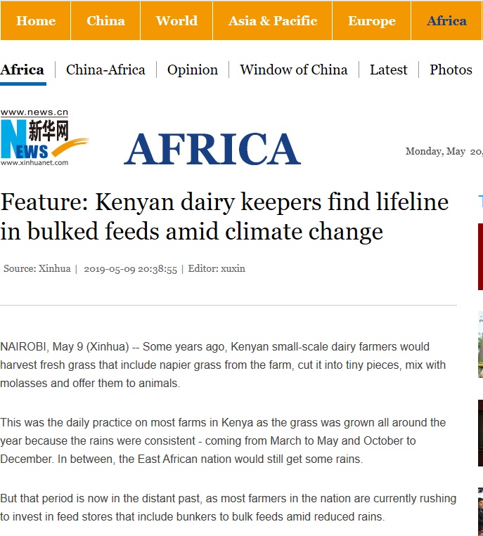 Kenyan dairy keepers find lifeline in bulked feeds amid climate change