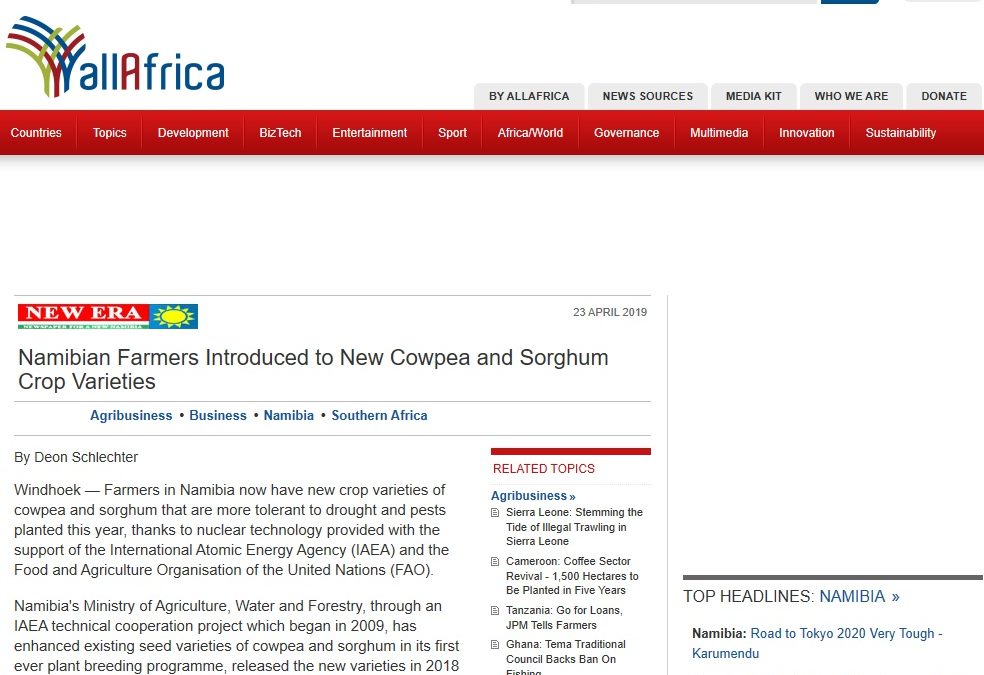 Namibian Farmers Introduced to New Cowpea and Sorghum Crop Varieties