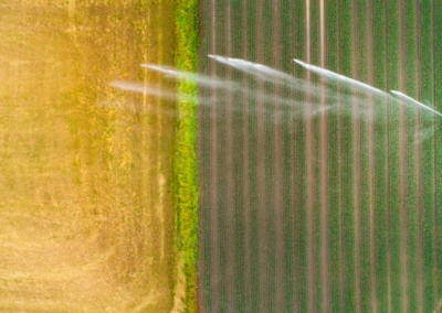 More drop per crop: Cereal water footprint study highlights need to transition to ancient grains