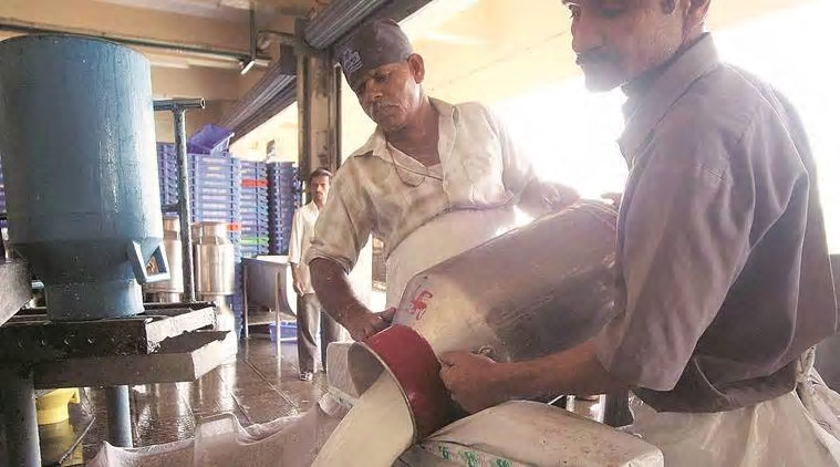 Maharashtra dairies report drop in procurement as fodder, water crises intensify in drought-hit areas