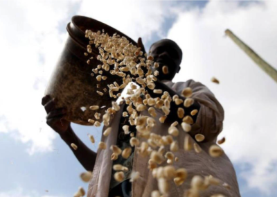 Urban middle class may offer lifeline to rural Africa