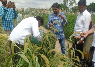 Boosting organic farming the Khadyam way