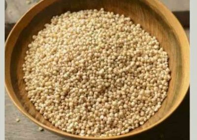 A big push for cultivation of millets