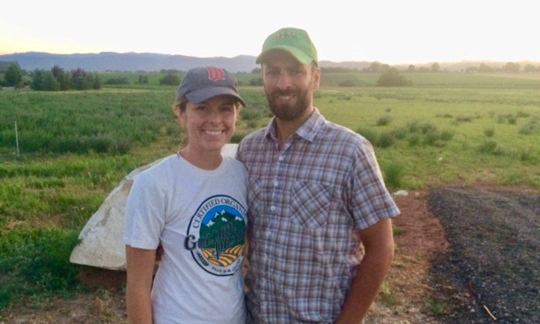 Millet in the U.S.: A Farmer’s Perspective