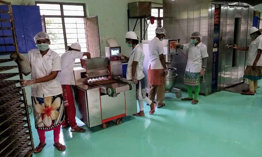 PJTSAU centre’s bid to mainstream millet use