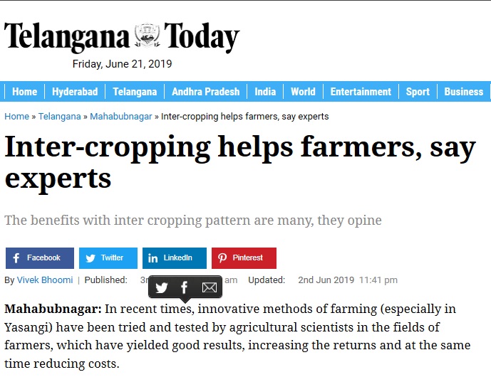 Inter-cropping helps farmers, say experts