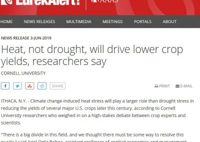 Heat, not drought, will drive lower crop yields, researchers say
