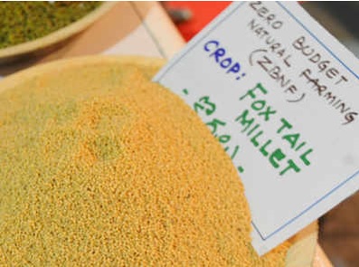 Vizag, Kurnool top minor millets production charts