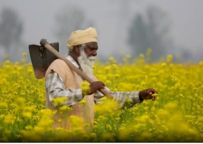 World Biodiversity Day: Change Begins With What You Eat