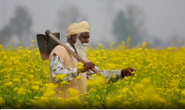 World Biodiversity Day: Change Begins With What You Eat