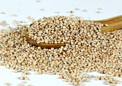 Focus on increasing millet acreage at Kisan Mela