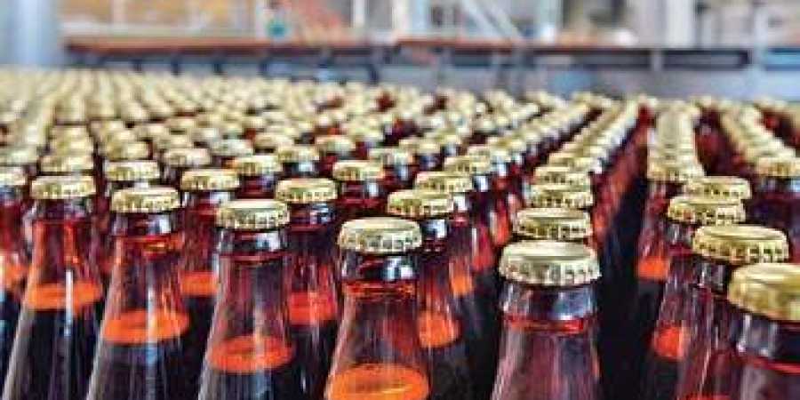 Jowar beer all set to shake the market?