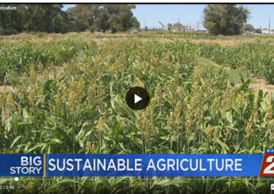UNR Researchers Study Crops That Could Be Used For Beer
