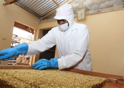 Turning millet into snacks spices up traders’ revenues